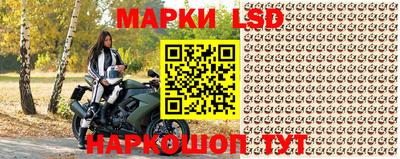 стафф Краснознаменск