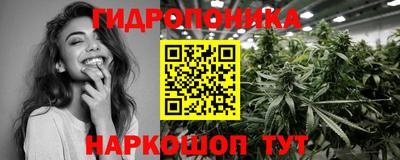 стафф Краснознаменск