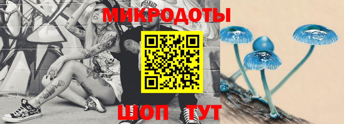 Псилоцибиновые грибы Psilocybe  Вход с VPN  Донецк 