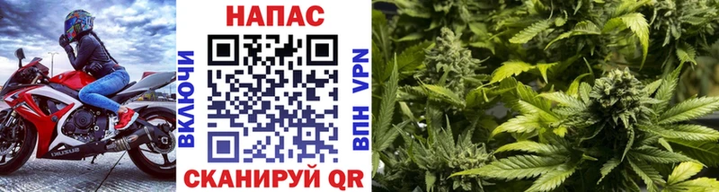 Конопля ГИДРОПОН  Донецк 